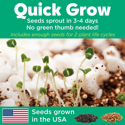 Creativity for Kids Grow 'N Glow Capybara Terrarium Kit for Kids - Educational Science Kits Ages 6-8+, Kids Gifts for Boys and Girls, Craft and STEM Projects