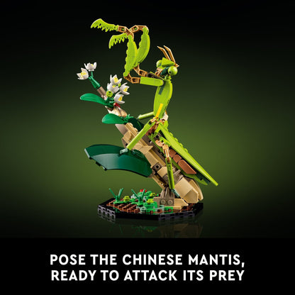 LEGO Ideas The Insect Collection Building Set for Adults - Gift for Christmas - Collectible Display Set for Nature Lovers - Models of Insects for Office or Book Shelf Decor - 21342